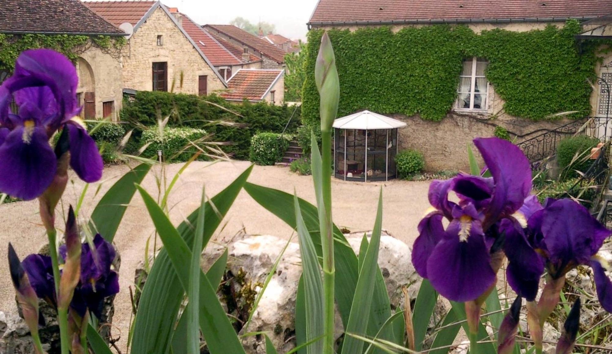 Le Chateau De Prauthoy Экстерьер фото